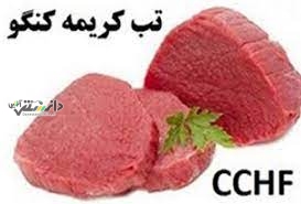 لزوم رعایت نکات بهداشتی هنگام ذبح حیوان/تب کریمه کنگو را جدی بگیرید