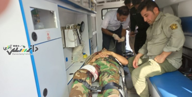 باز هم به یک محیطبان شلیک شد