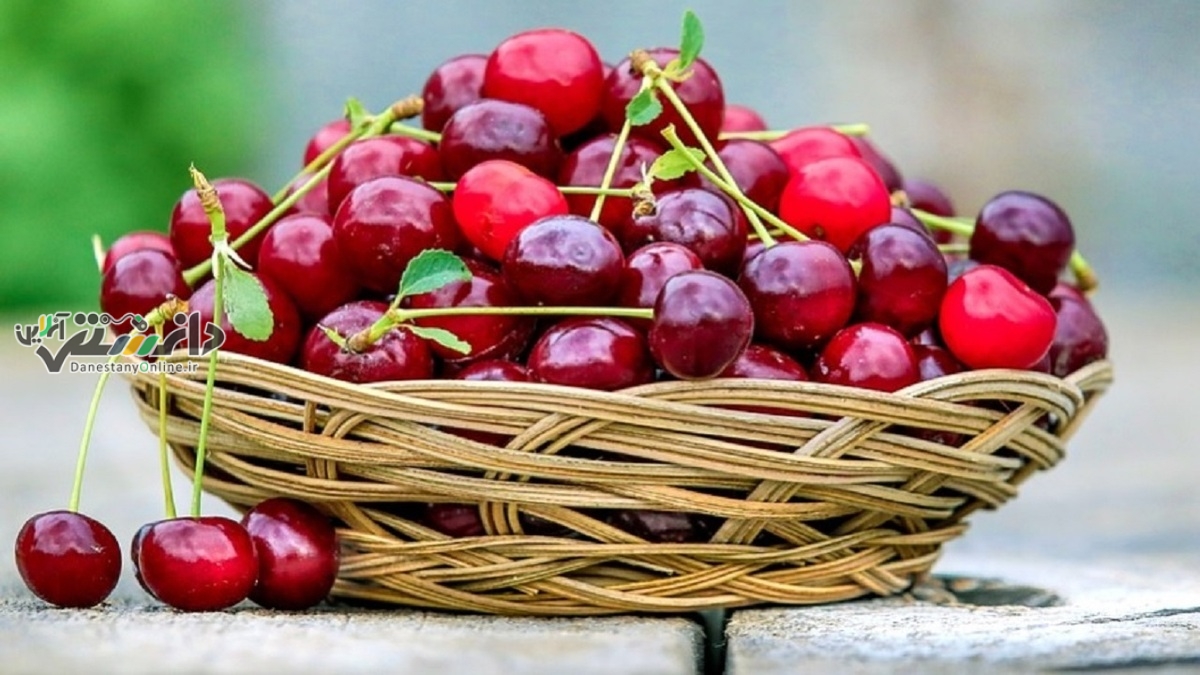 دانستنی میوه/ خواص جادویی گیلاس /گیلاس را قبل خواب بخورید