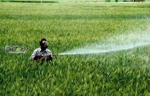 سموم محیطی همه گیری چاقی را تشدید می کند