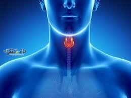 رژیم غذایی مبتلایان به اختلال تیروئید چه می باشد؟