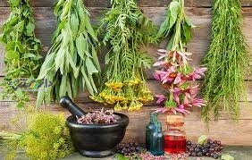 گیاهان دارویی و داروهای گیاهی با هم تفاوت دارند