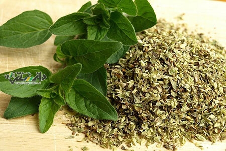 گیاه ارگانو چه خواصی دارد؟