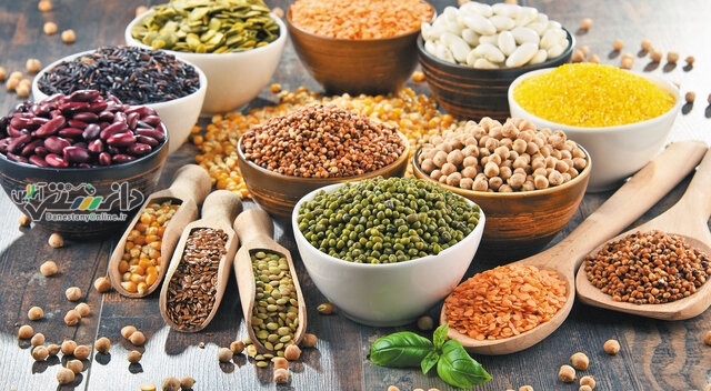 مصرف پروتئین باعث کاهش توده عضلانی می شود