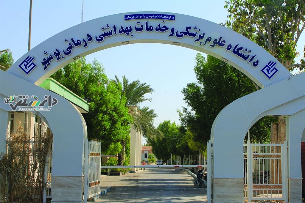 بیتفاوتی صنعت نسبت به سلامت اهالی جنوب استان بوشهر پذیرفتنی نیست