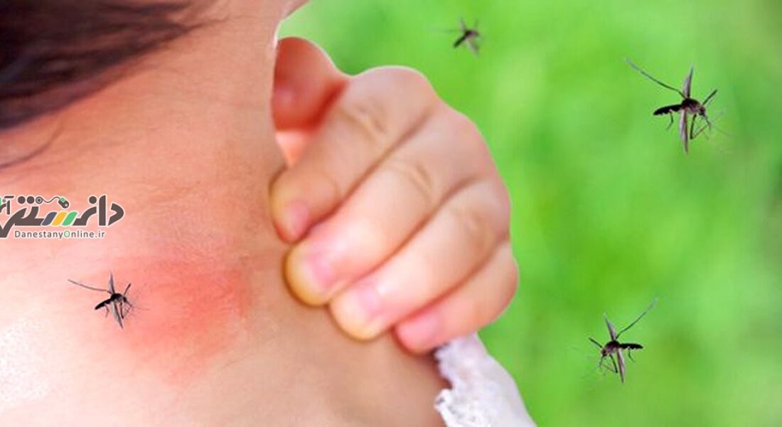دانستنی گوناگون/ پشه ها به رنگ قرمزعلاقه دارند