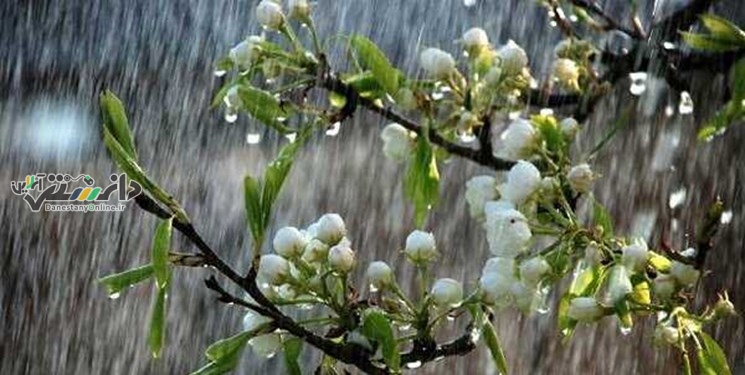 تا فرداهوای تهران بارانی است