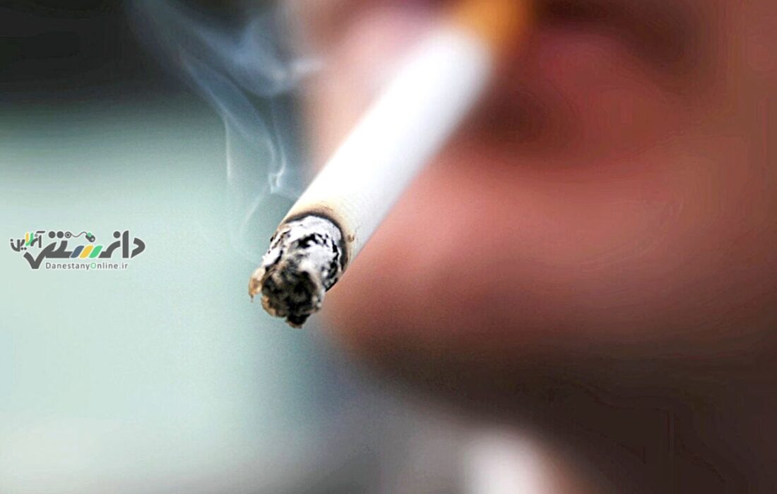 سیگار کشیدن باعث افزایش وزن و چربی شکمی می شود