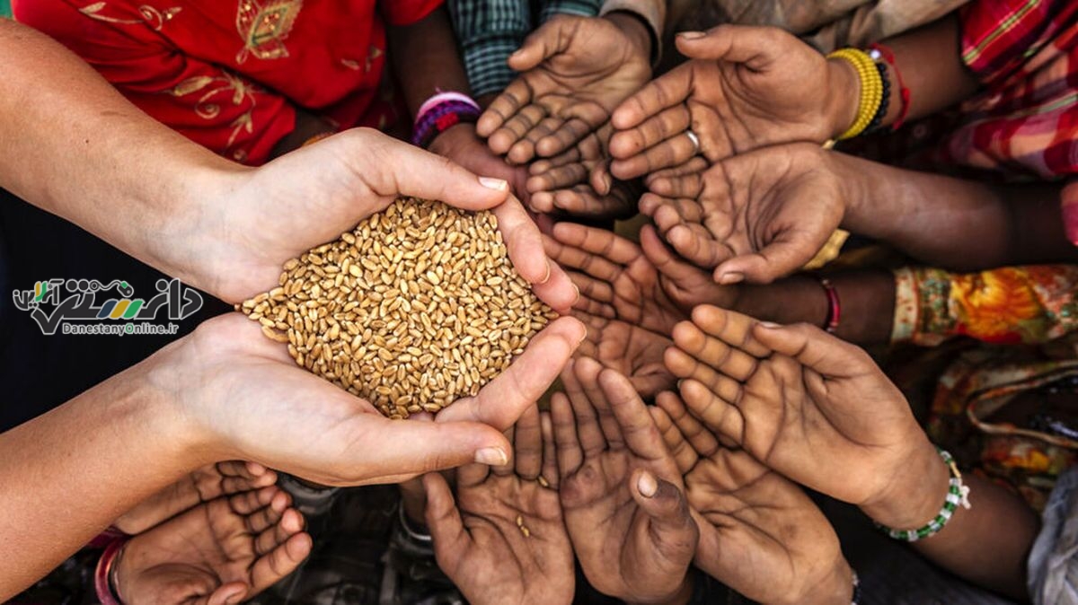 تولید غذای بیشتر با تغییر در تغذیه دامها و ماهیها