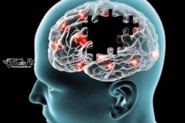 علائم هشدار دهنده بیماری آلزایمر