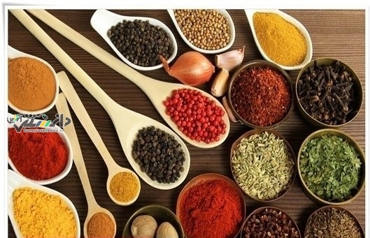 انواع چهار گانه خلط در بدن انسان
