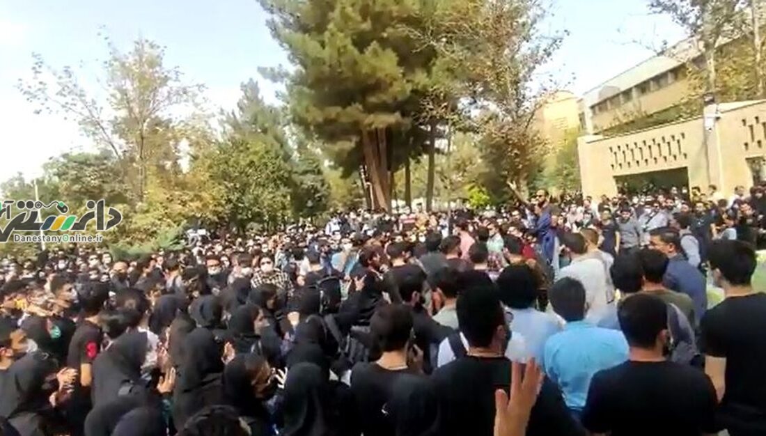 از سلف مختلط تا سرویس بهداشتی مختلط!