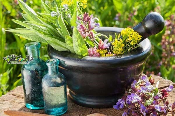 صادرات مکمل های گیاهی و محصولات آرایشی به صربستان