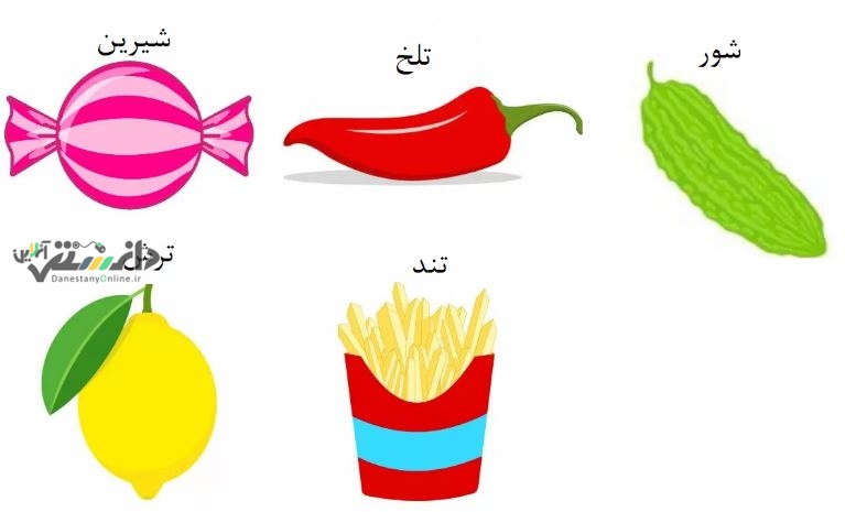 سرگرمی / با تست ذائقه شخصیت خود را بشناسید