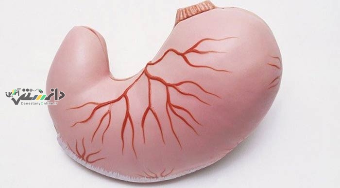 روش های کاهش عوارض فلج معده/اینفوگرافیک