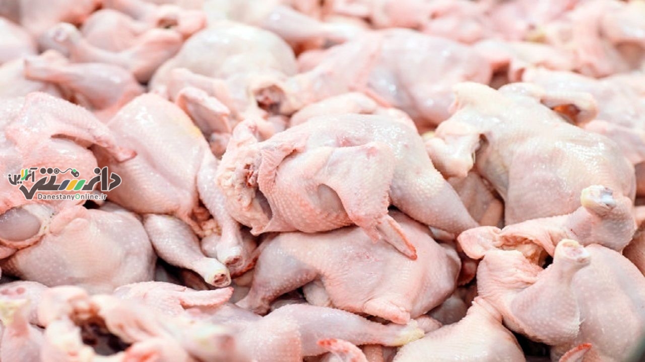 تاثیر مثبت کاهش حضور دستوری دولت در صنعت مرغ