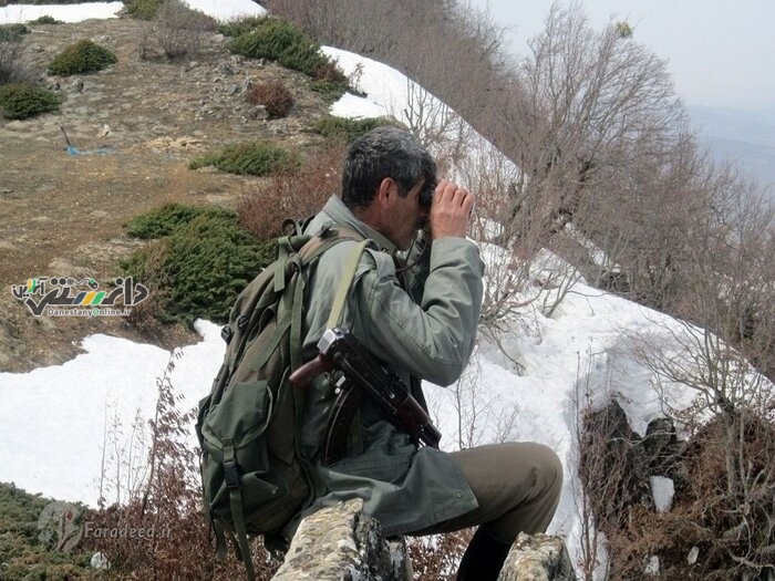 غذارسانی به حیات وحش با کمک حیواندوستان در خراسان