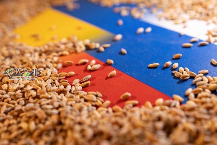 چگونه روسیه امنیت غذایی میلیون ها نفر را گروگان گرفته است؟