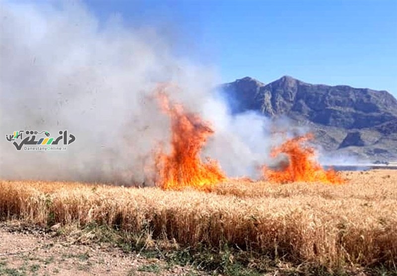 روسیه چگونه امنیت غذایی میلیون ها نفر را تهدید می کند؟