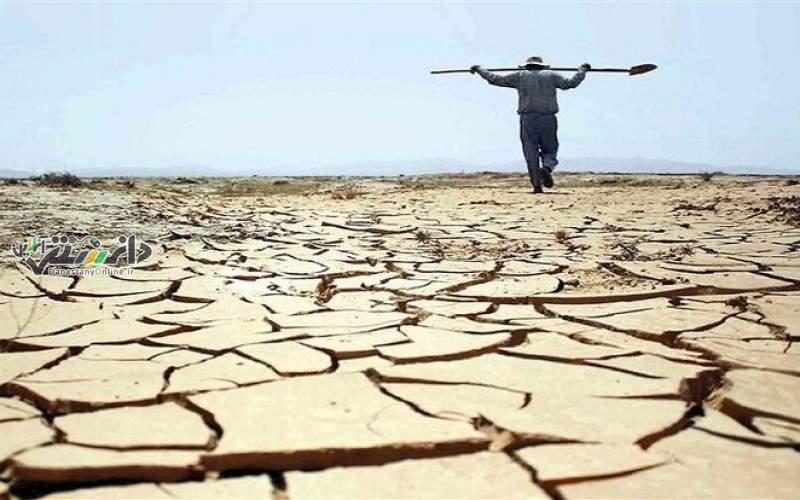 محیطزیست گروگان پیمانکاران و بودجهخواران!