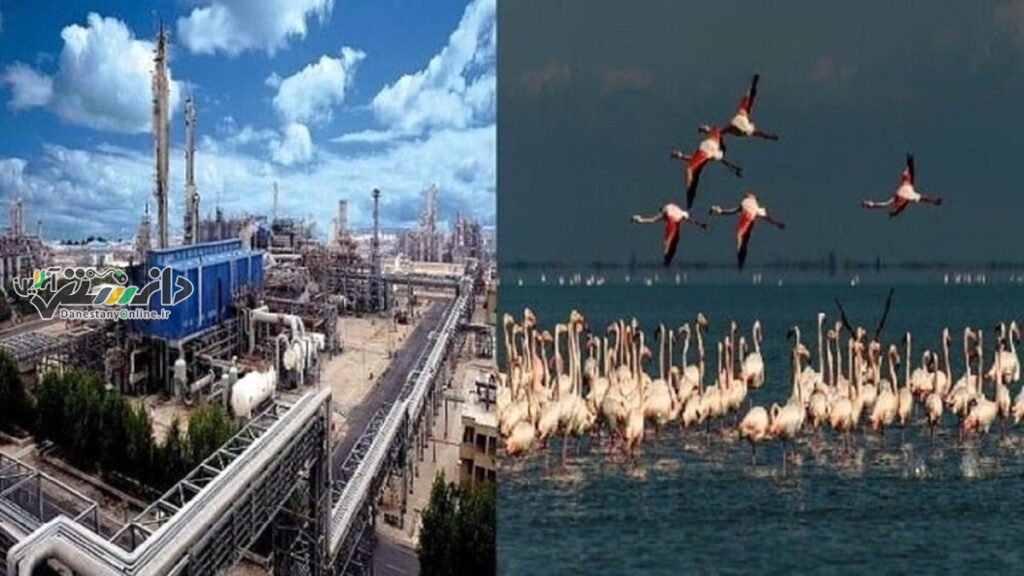 میانکاله، آزمون اقتدار قانون و سازمان محیط زیست!