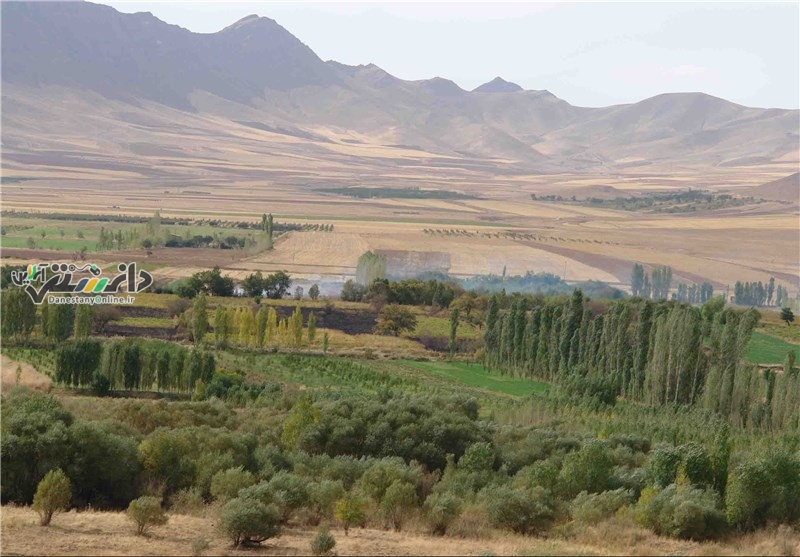 کارخانه سیمان؛ بلای جان روستای «ویدر»