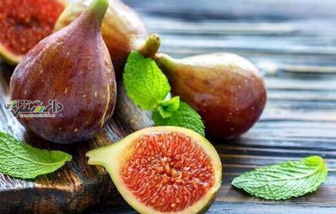 این ۷ میوه که جایگزینی مناسبی برای شیرینی هستند