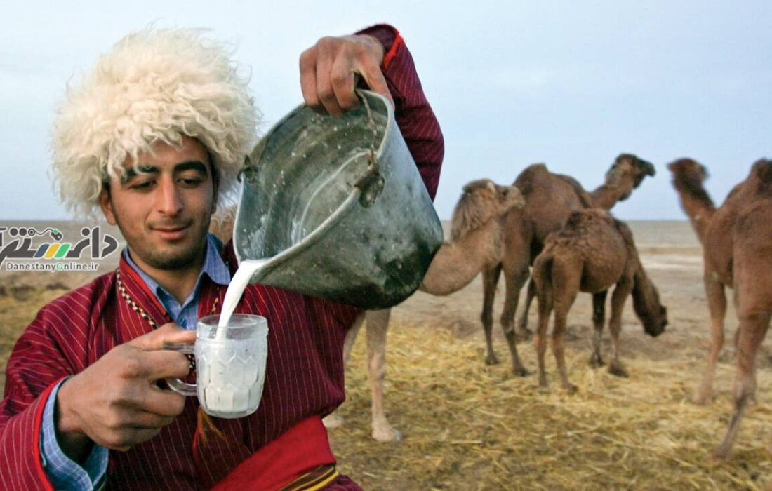 با خوردن گوشت شتر به جنگ فشار خون بروید