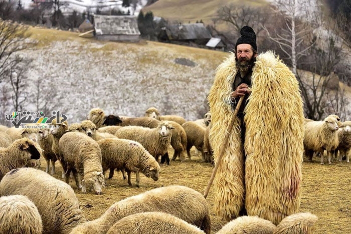 جشن چوپان پاییزی