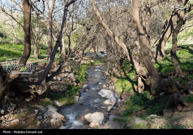تصاویری از طبیعت بکر دره خان ارومیه