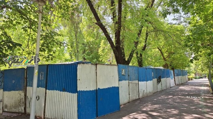 سرانجام حصار کشی پارک لاله مشخص نیست/اجازه نخواهیم داد درختی قطع شود