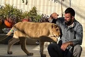 واکنش سازمان حفاظت محیط زیست به نگهداری توله شیر توسط یک ورزشکار