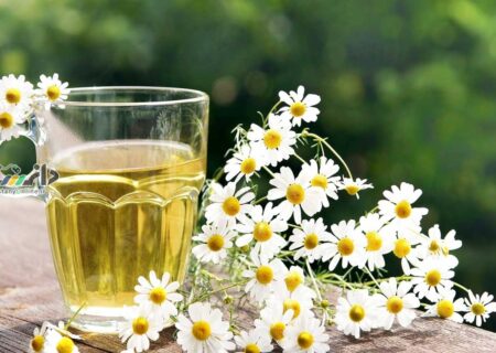 گل بابونه درمانی برای چاقی
