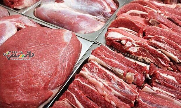 تولید ۴۰ درصد گوشت قرمز توسط دامداری های کوچکمقیاس در کشور