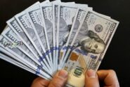 واکنش فوری وزیر اقتصاد به افزایش قیمت دلار