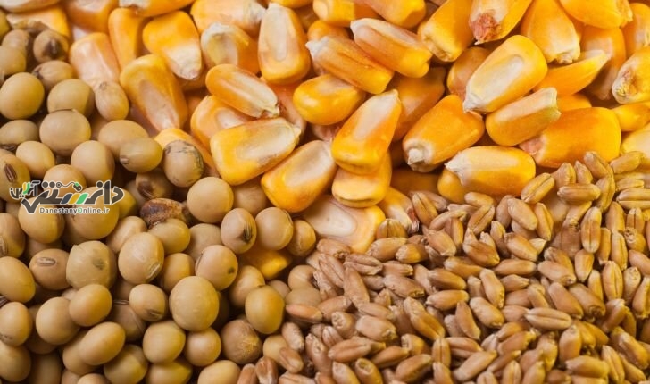 دانستنی اقتصاد/فرصتسوزی و انفعال در تجارت با روسیه برای تنظیم بازار نهاده
