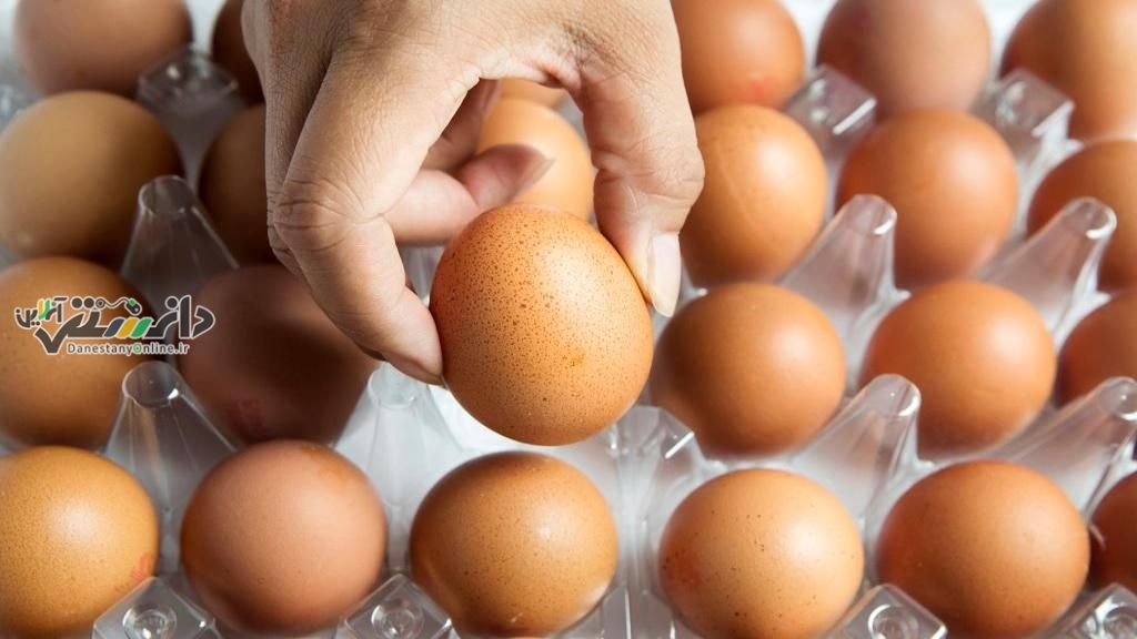 دانستنی روانشناسی/تست شخصیت شناسی از روی چیدن تخم مرغ