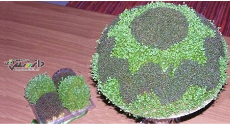 دانستنی خانه داری/مهم ترین نکات برای داشتن سبزه تخم شربتی در عید+تصویر