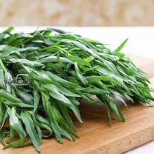 دانستنی طب سنتی/خاصیت درمانی عرق ترخون