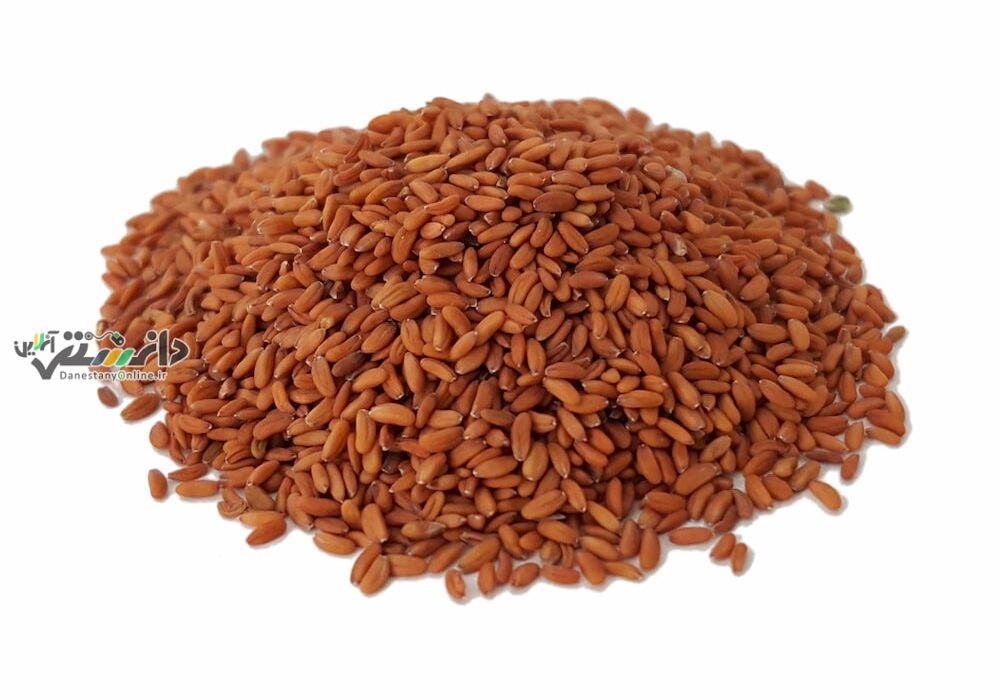 دانستنی طب سنتی/خواص تخم شاهی