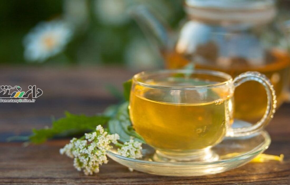 دانستنی علمی پزشکی/مصرف سنبل الطیب چه اثراتی می تواند داشته باشد؟