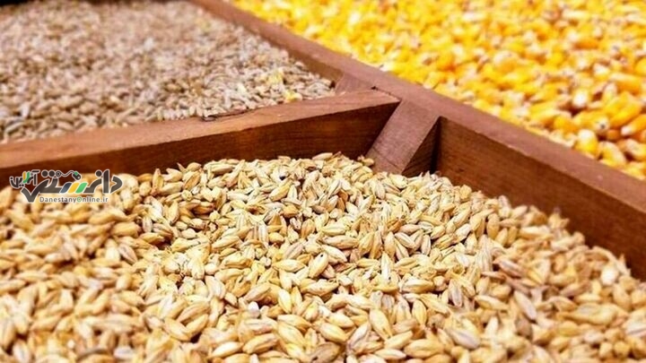 دانستنی اقتصادی/واردات ۱۰۰ هزار تن جو برای توزیع با قیمت مصوب