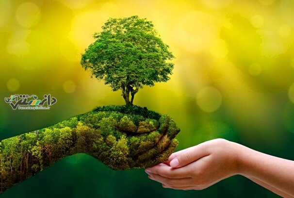 دانستنی اقتصادی /فردا آغاز هفته درختکاری با توزیع ۱۰ میلیون نهال رایگان