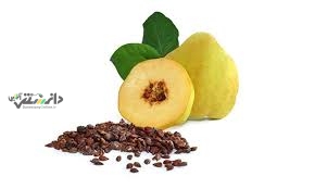 دانستنی طب سنتی/درمان سرفه شدید با مصرف به دانه