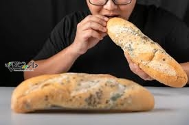 دانستنی سلامت/عوارض خوردن کپک