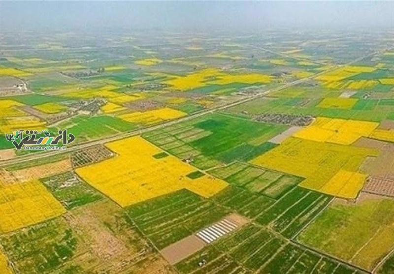 دانستنی کشاورزی /کاهش مصرف آب در کشاورزی با انتقال کشت به گلخانهها