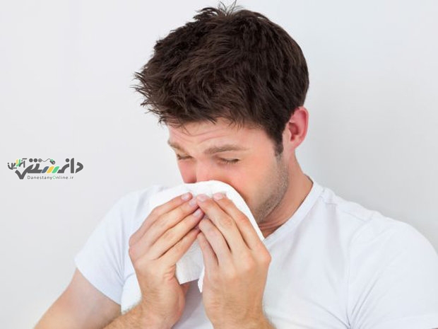 دانستنی سلامت/خوراکی مفید ضد التهاب برای کنترل آلرژی در بهار