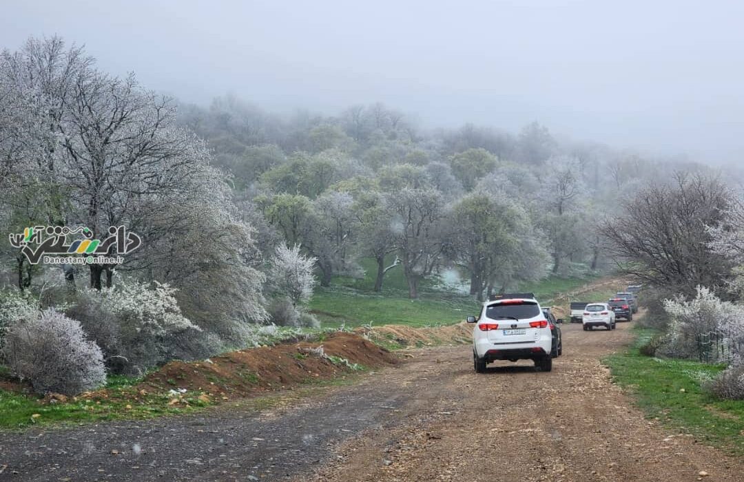 برگزاری رالی تور گردشگری خانوادگی تورینگ و سافاری از البرز به گیلان