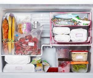 دانستنی سبک زندگی/ روش فریز کردن خورشت ها