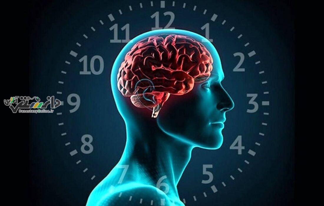 دانستنی تندرستی /سن زیستی چیست و چگونه محاسبه میشود؟